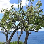 Casa vacanze Casa Salvatore